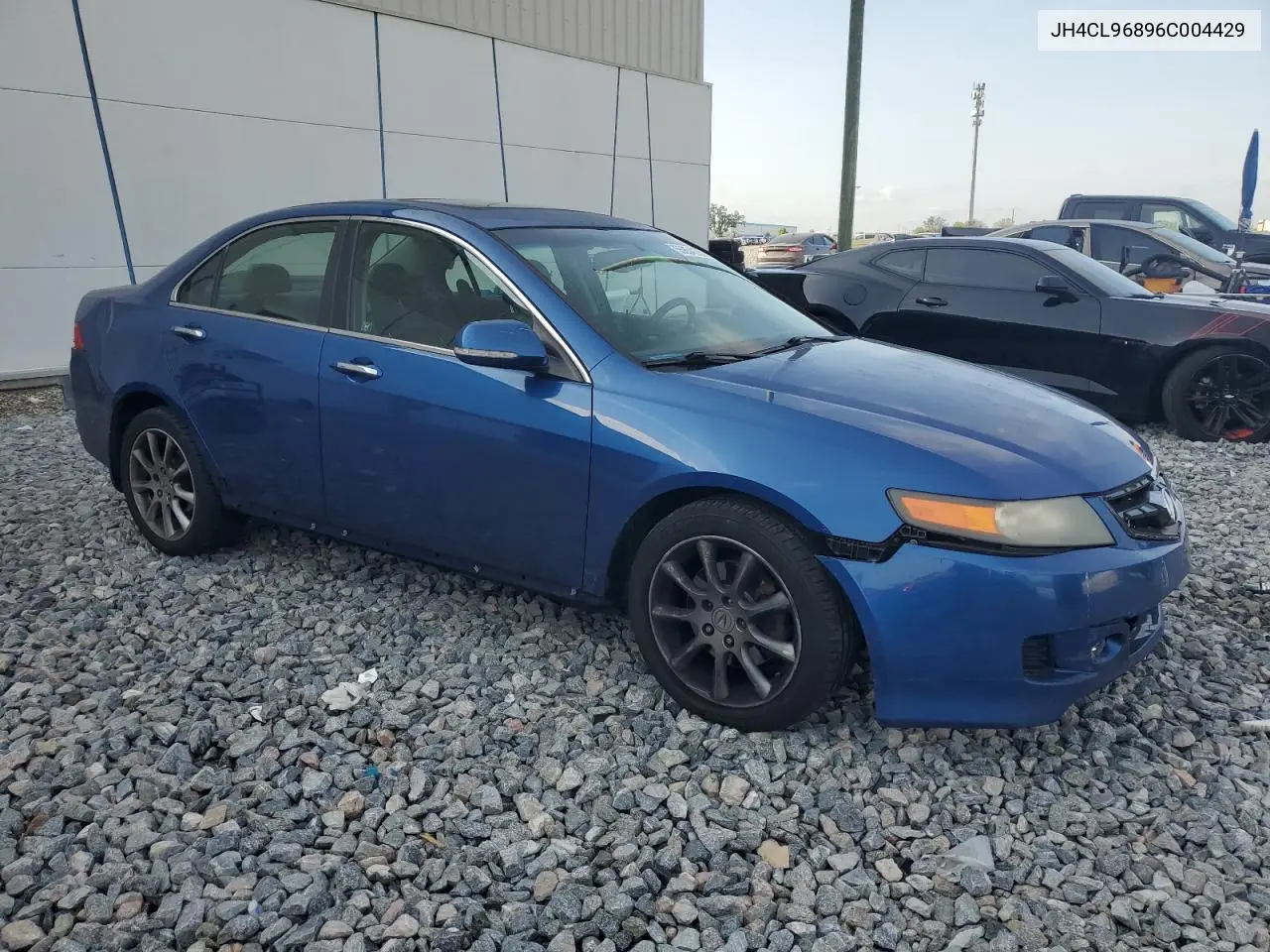 2006 Acura Tsx VIN: JH4CL96896C004429 Lot: 55854195