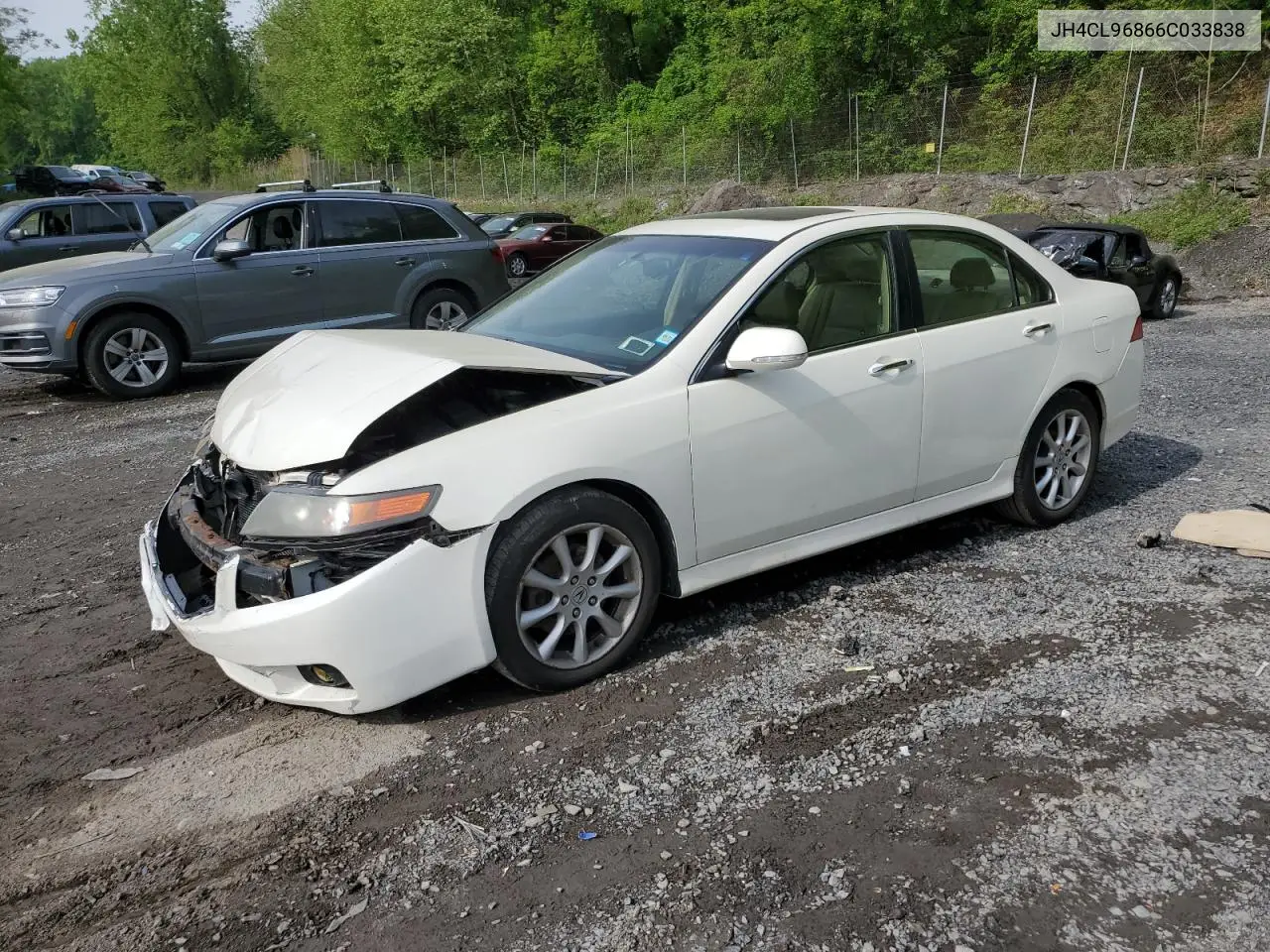 2006 Acura Tsx VIN: JH4CL96866C033838 Lot: 56176695