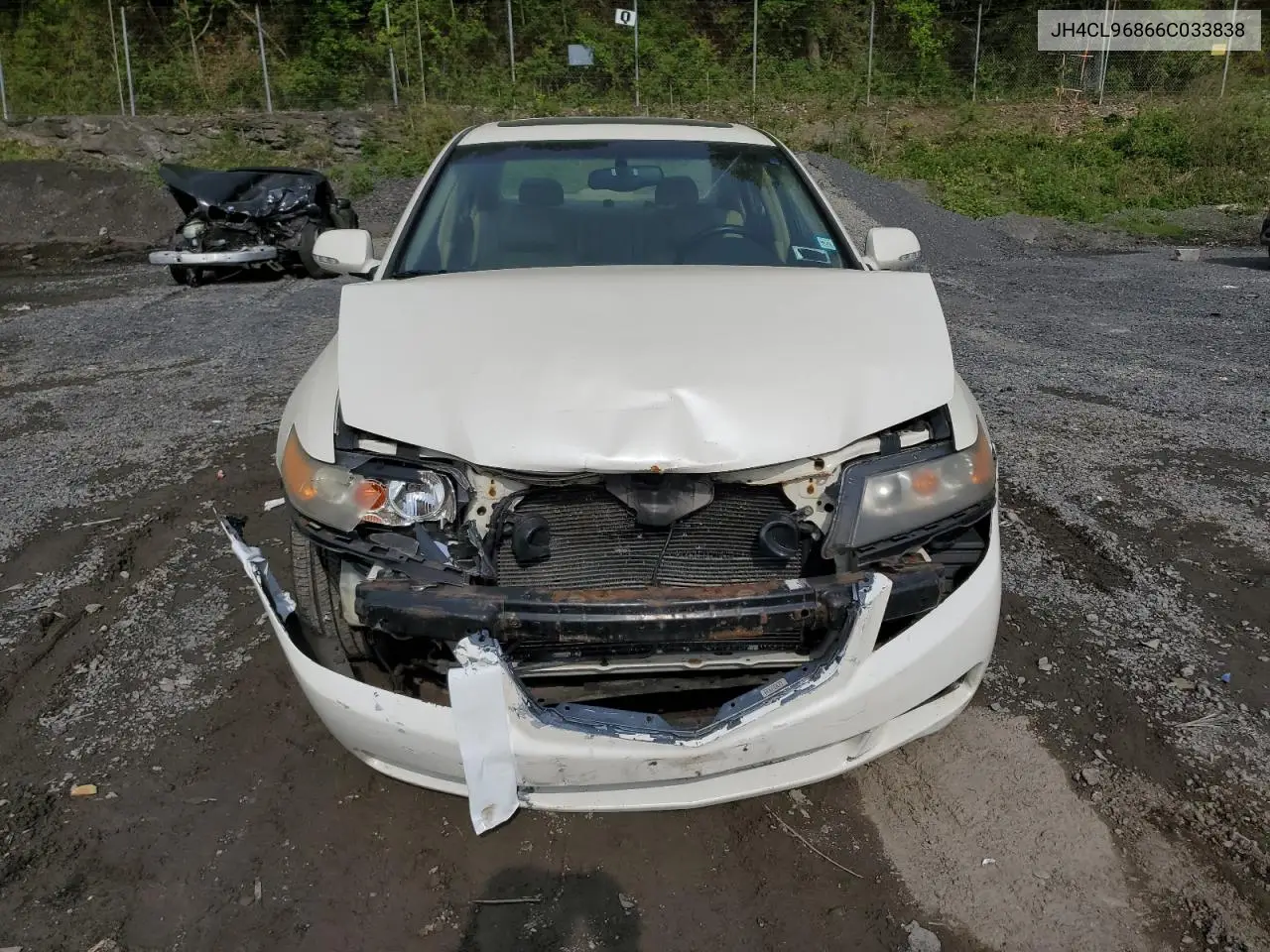 2006 Acura Tsx VIN: JH4CL96866C033838 Lot: 56176695