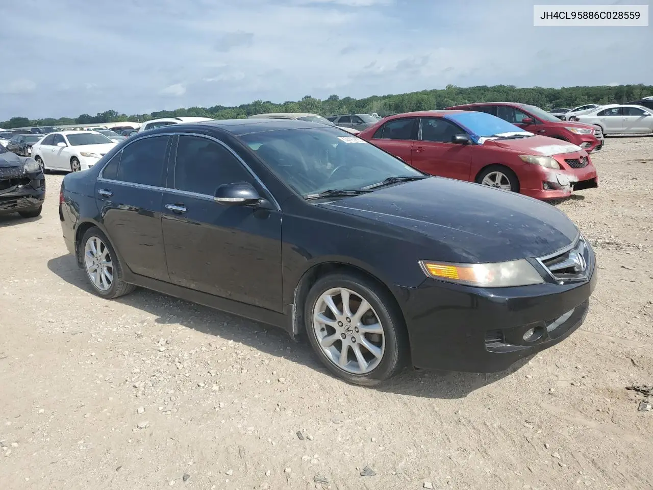2006 Acura Tsx VIN: JH4CL95886C028559 Lot: 62425295