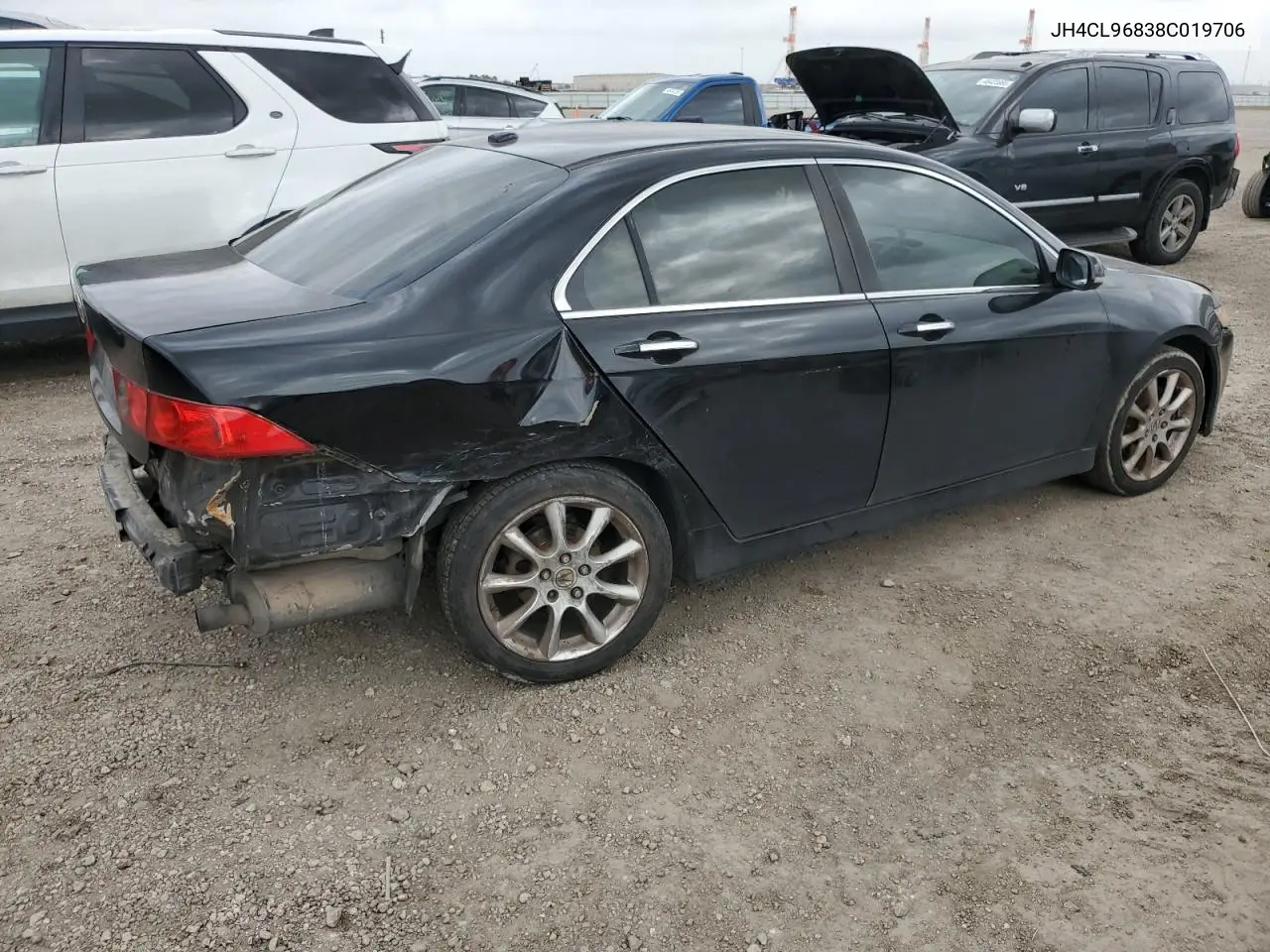 2008 Acura Tsx VIN: JH4CL96838C019706 Lot: 48103595