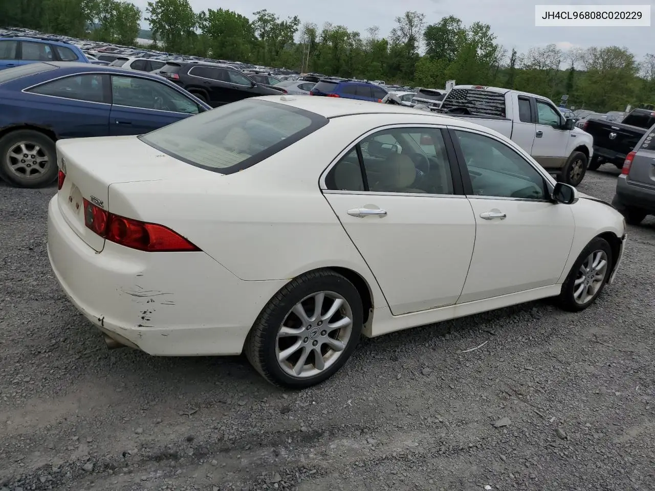 2008 Acura Tsx VIN: JH4CL96808C020229 Lot: 56727245