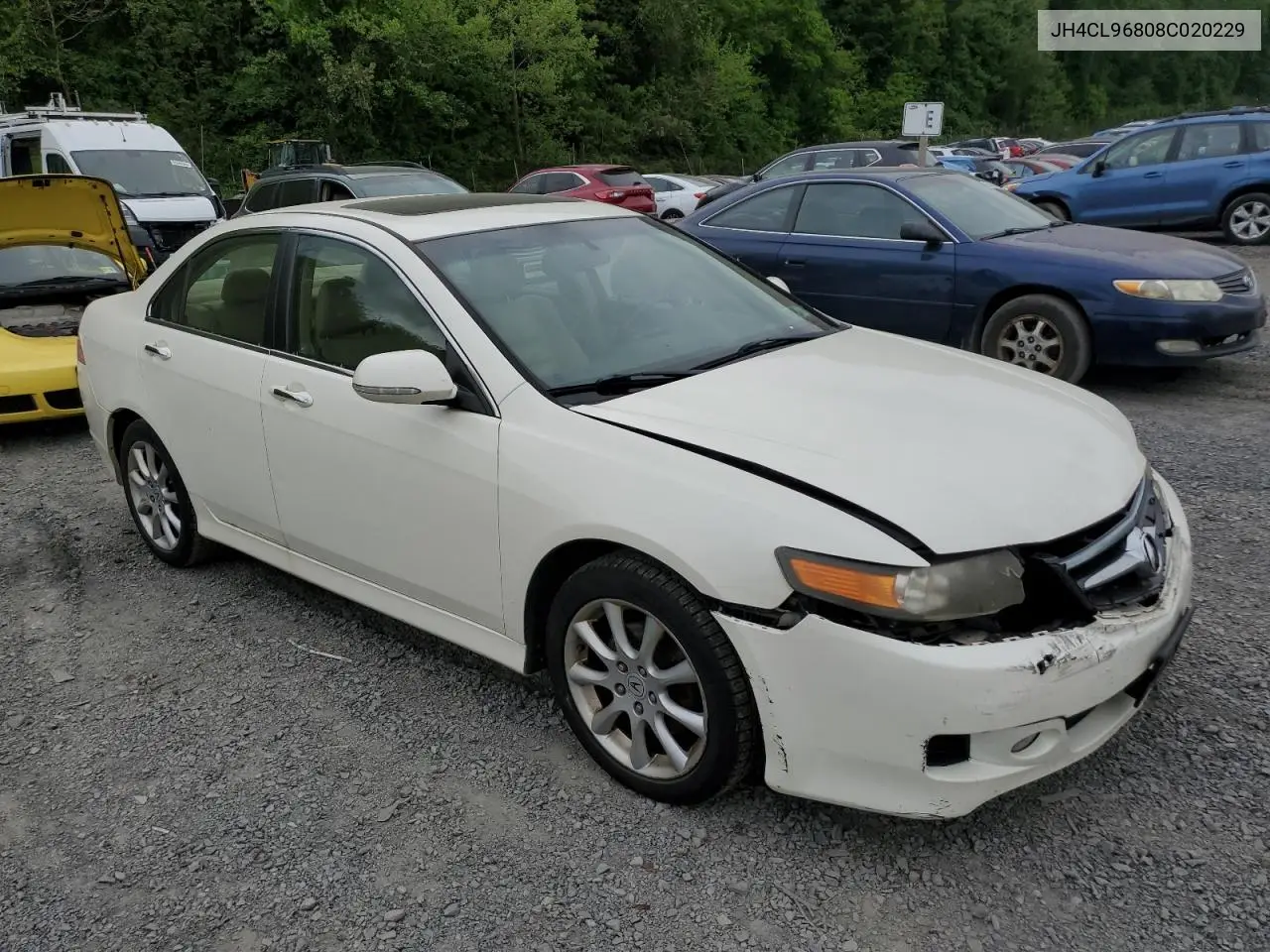 2008 Acura Tsx VIN: JH4CL96808C020229 Lot: 56727245