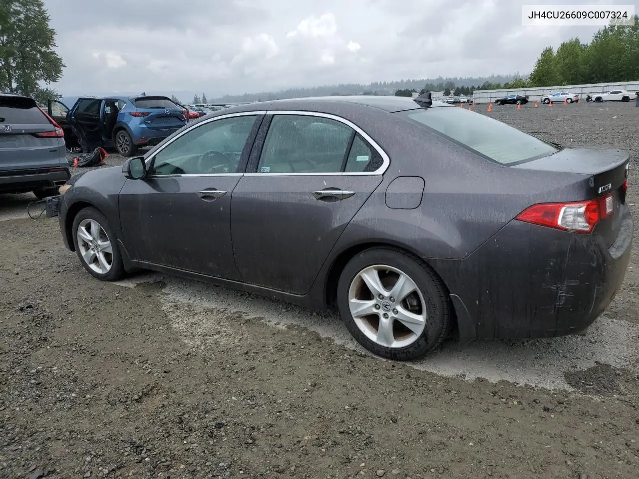 2009 Acura Tsx VIN: JH4CU26609C007324 Lot: 53918455