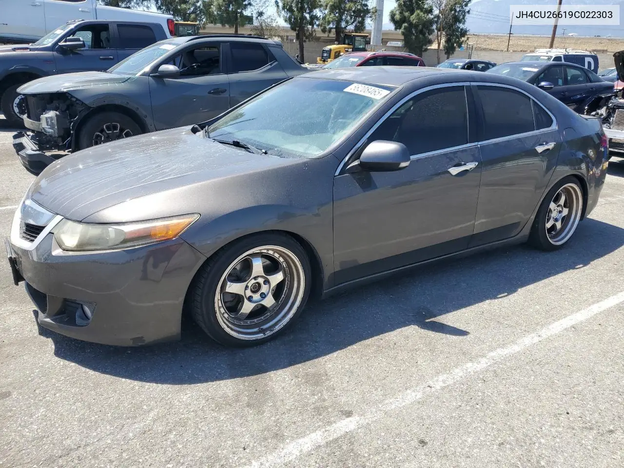 2009 Acura Tsx VIN: JH4CU26619C022303 Lot: 56208465