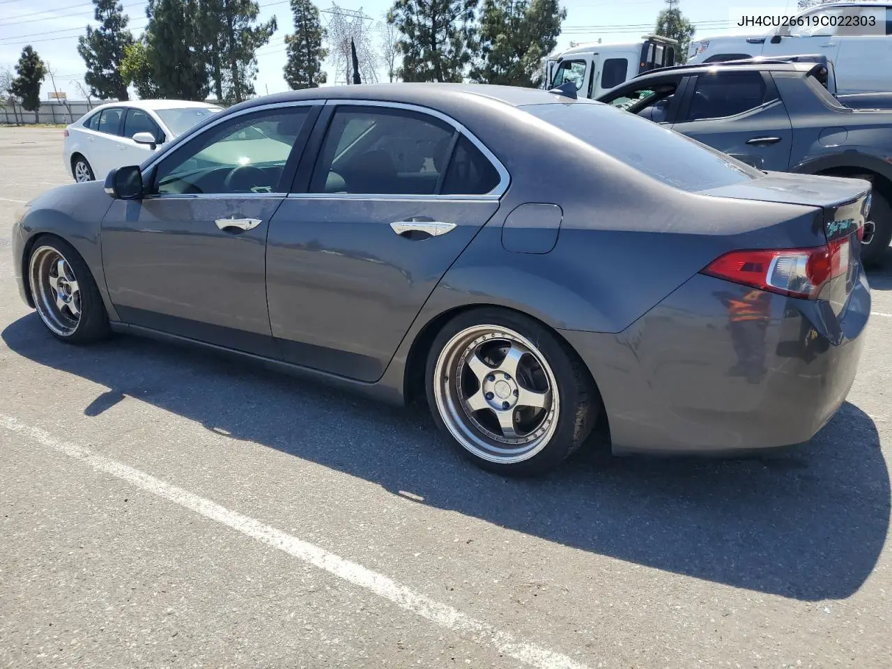 2009 Acura Tsx VIN: JH4CU26619C022303 Lot: 56208465