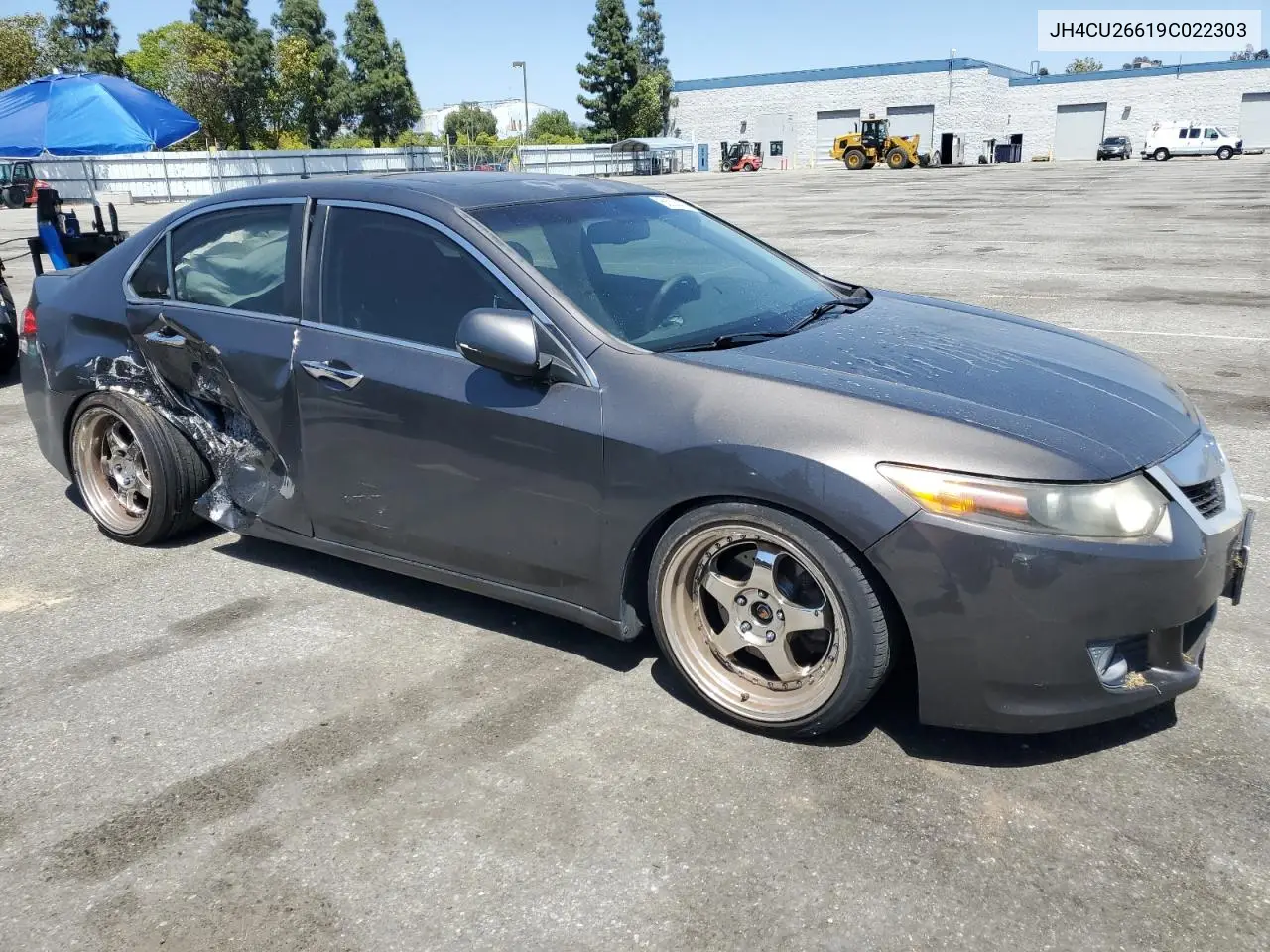 2009 Acura Tsx VIN: JH4CU26619C022303 Lot: 56208465
