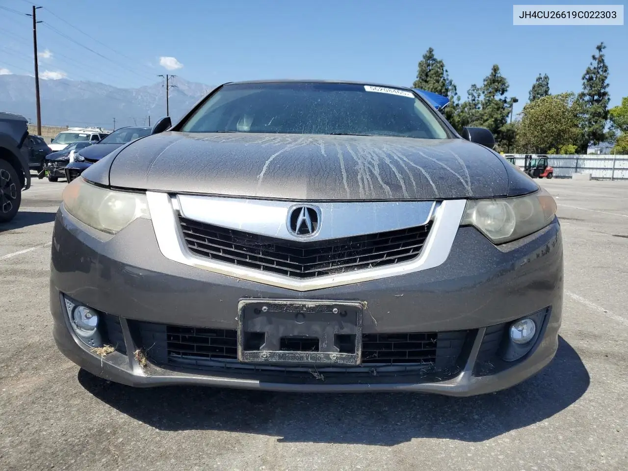 2009 Acura Tsx VIN: JH4CU26619C022303 Lot: 56208465