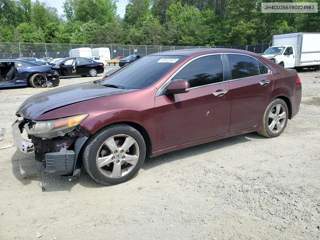 2009 Acura Tsx VIN: JH4CU26619C024987 Lot: 56532605