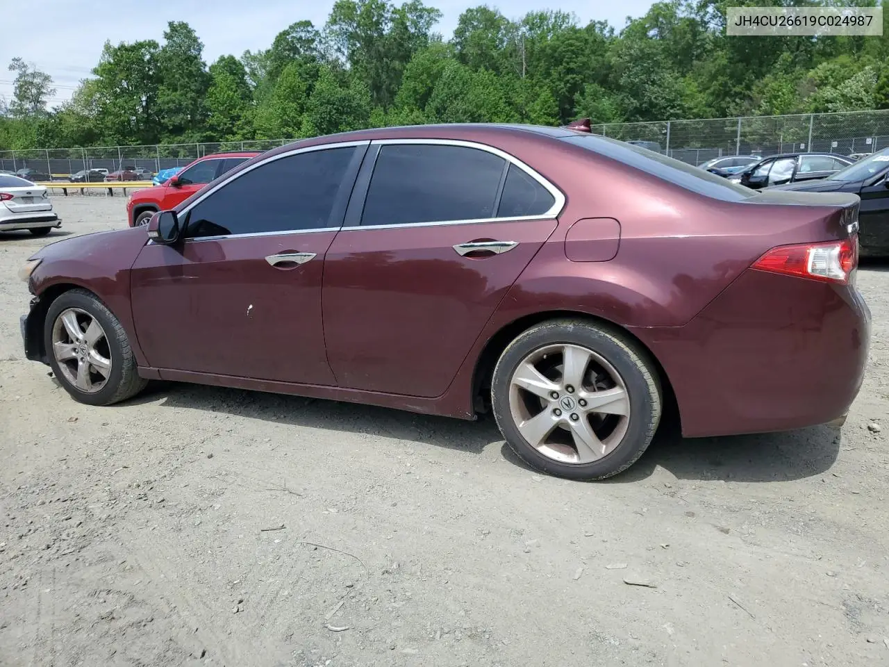 2009 Acura Tsx VIN: JH4CU26619C024987 Lot: 56532605