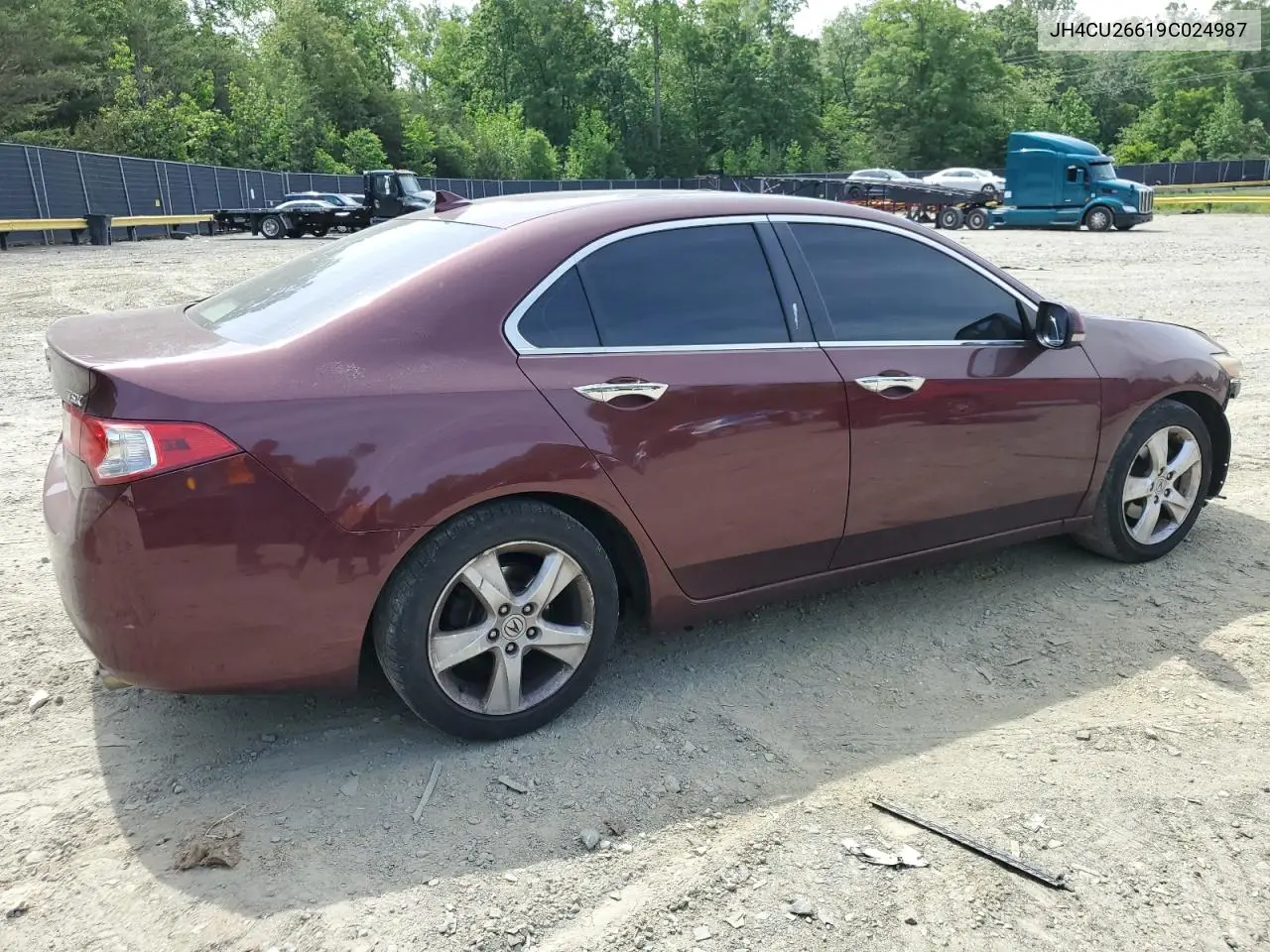 2009 Acura Tsx VIN: JH4CU26619C024987 Lot: 56532605