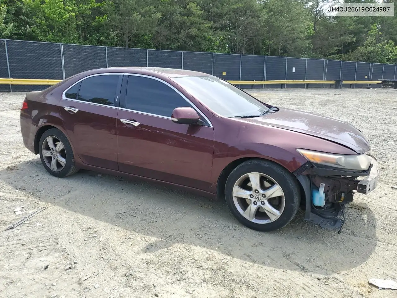 2009 Acura Tsx VIN: JH4CU26619C024987 Lot: 56532605