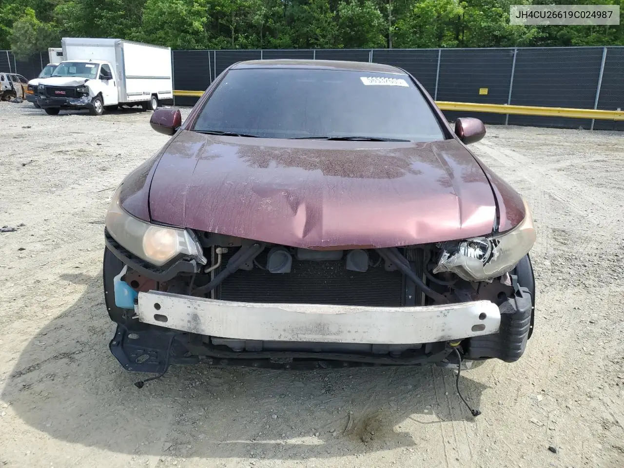 2009 Acura Tsx VIN: JH4CU26619C024987 Lot: 56532605