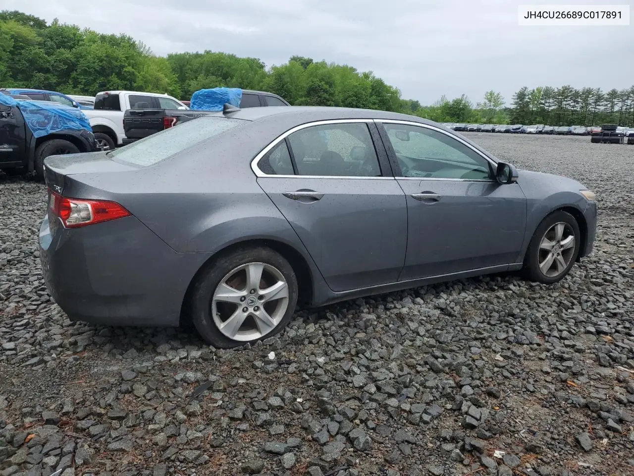 2009 Acura Tsx VIN: JH4CU26689C017891 Lot: 56630625