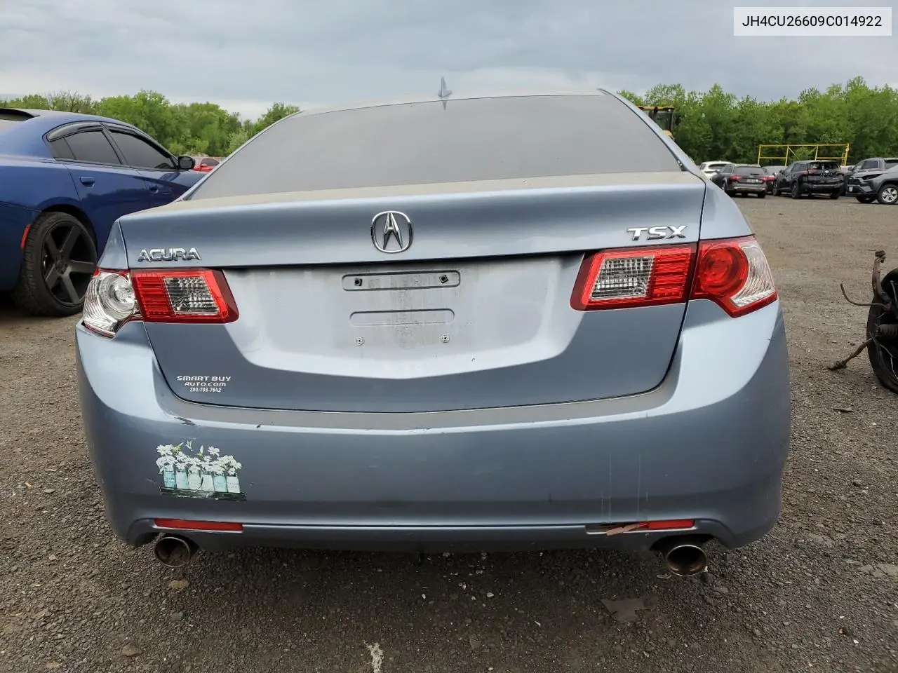 2009 Acura Tsx VIN: JH4CU26609C014922 Lot: 56829565