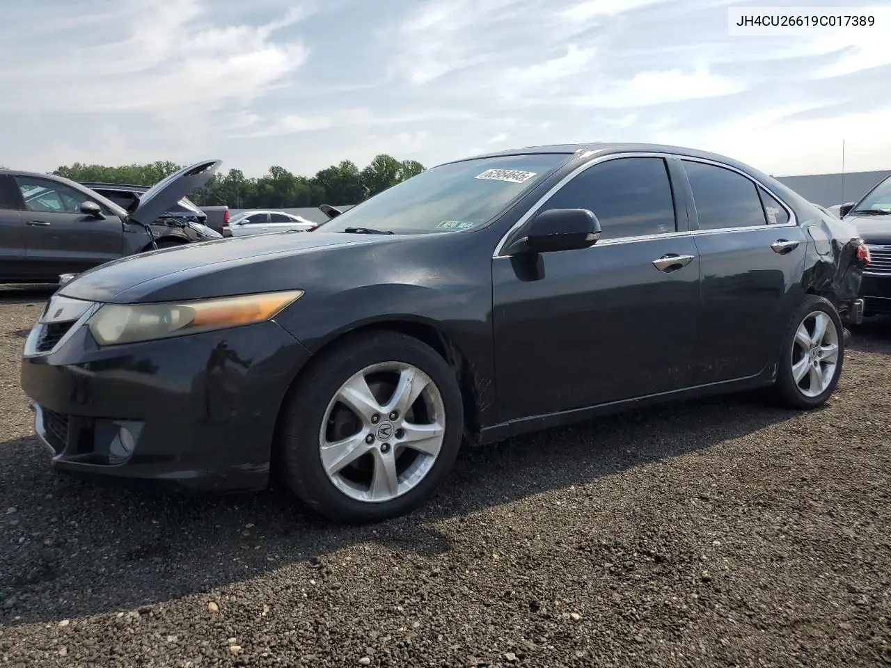 2009 Acura Tsx VIN: JH4CU26619C017389 Lot: 62954645