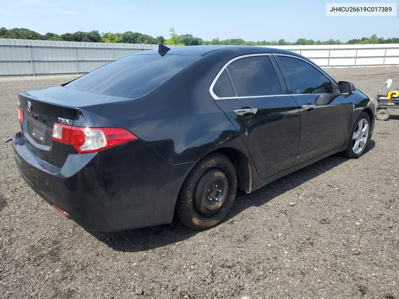 2009 Acura Tsx VIN: JH4CU26619C017389 Lot: 62954645