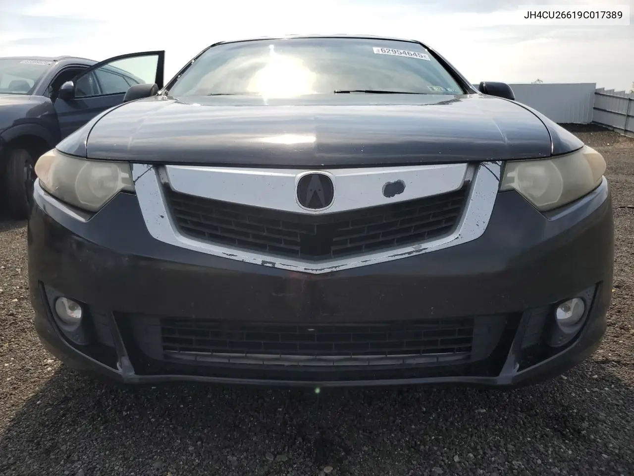 2009 Acura Tsx VIN: JH4CU26619C017389 Lot: 62954645