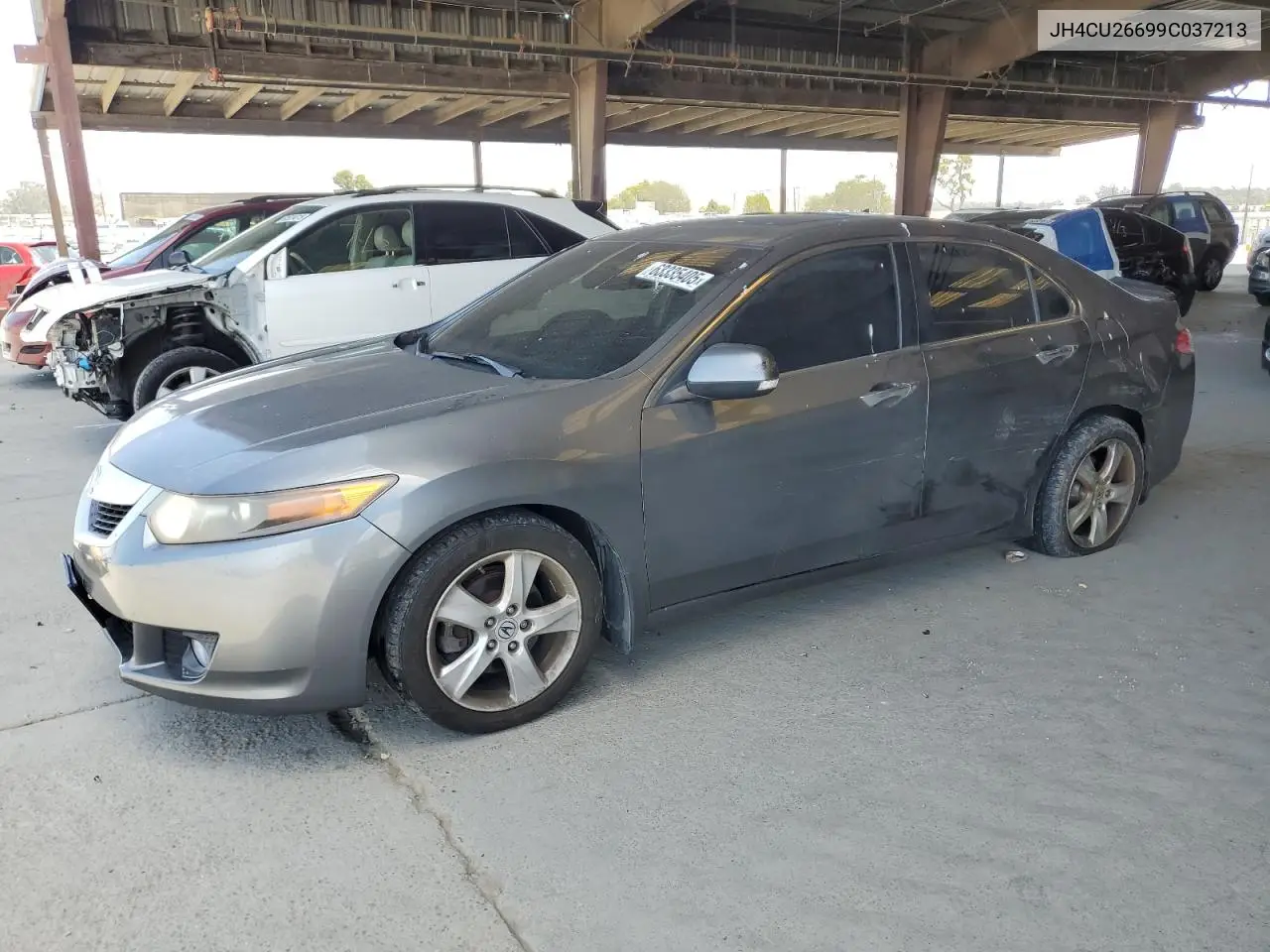 2009 Acura Tsx VIN: JH4CU26699C037213 Lot: 63335405