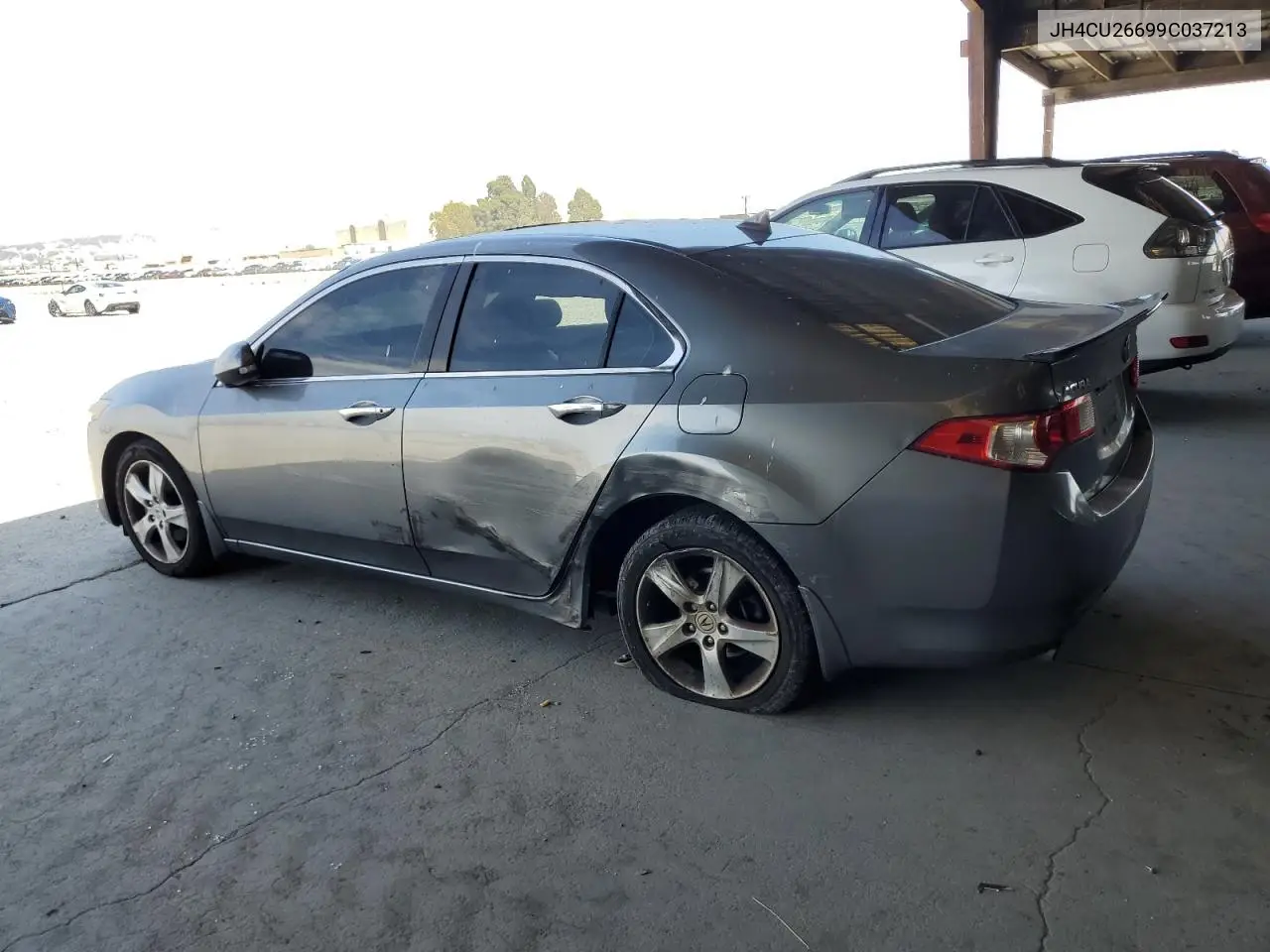 2009 Acura Tsx VIN: JH4CU26699C037213 Lot: 63335405