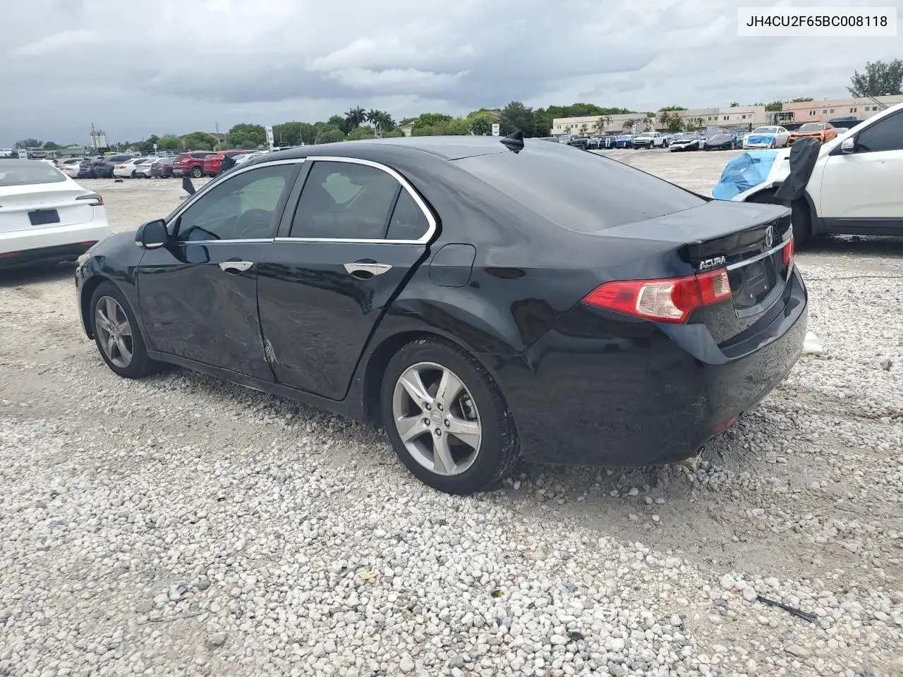 2011 Acura Tsx VIN: JH4CU2F65BC008118 Lot: 56641295