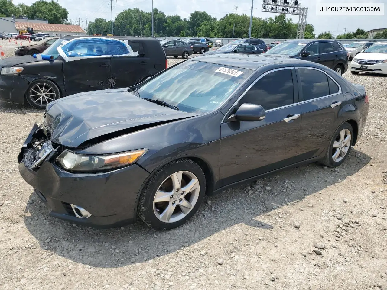 2011 Acura Tsx VIN: JH4CU2F64BC013066 Lot: 61520885