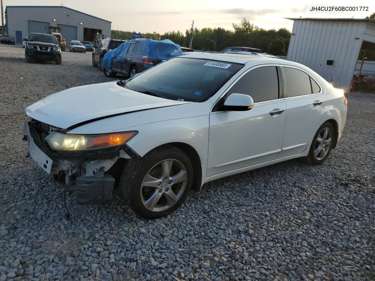 2011 Acura Tsx VIN: JH4CU2F60BC001772 Lot: 61608565