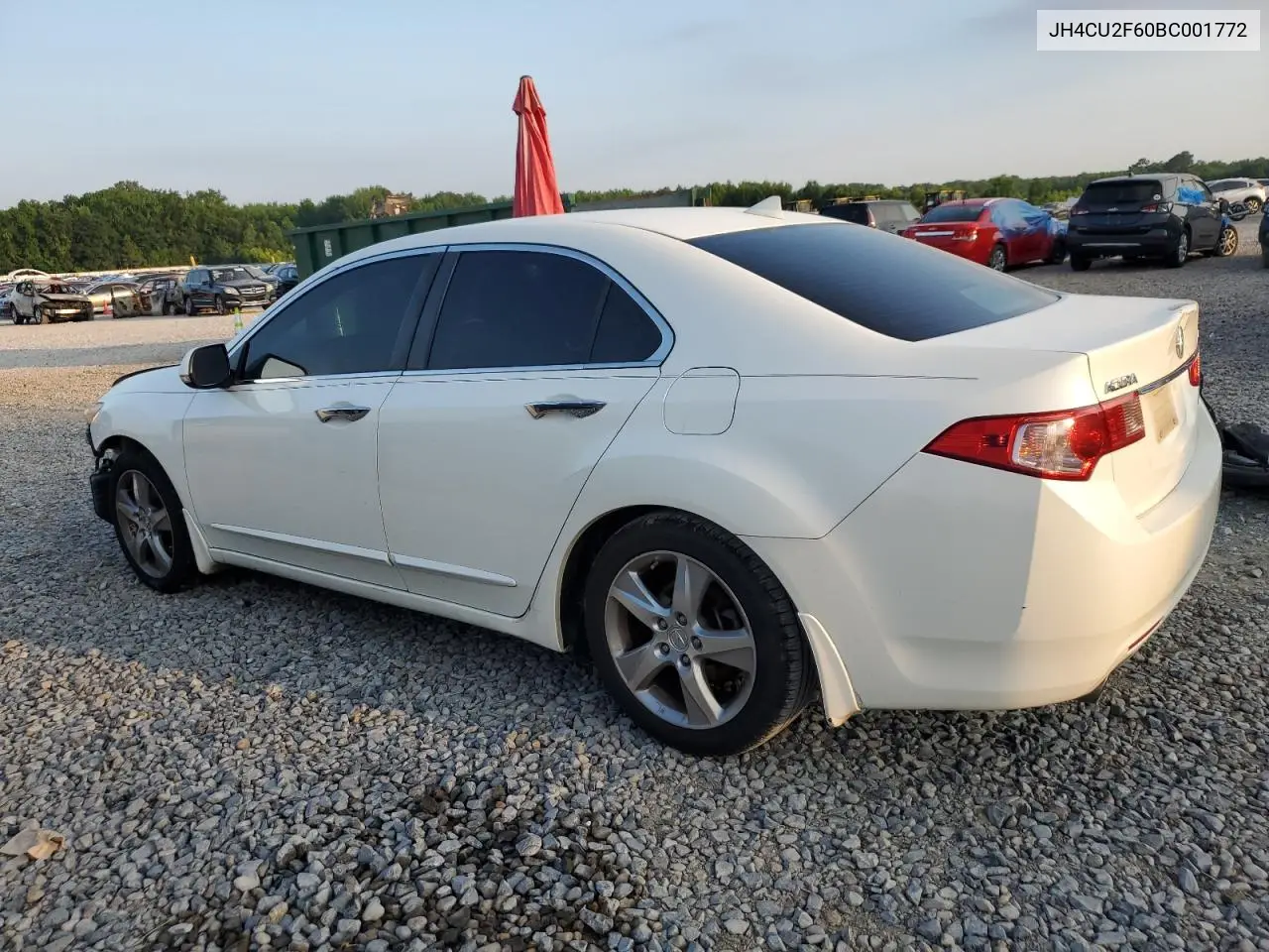 2011 Acura Tsx VIN: JH4CU2F60BC001772 Lot: 61608565
