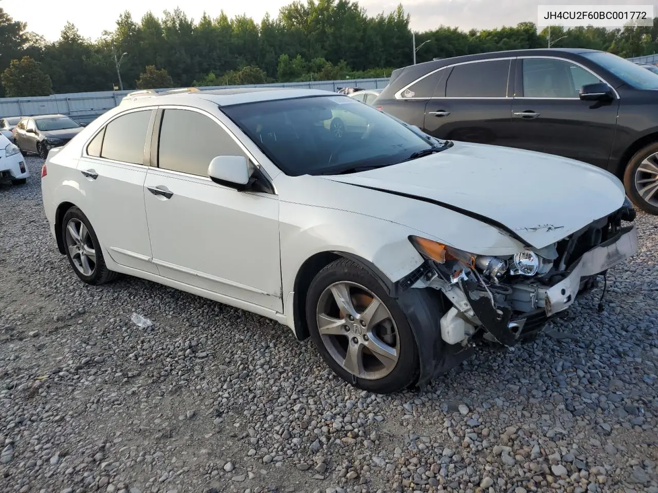 2011 Acura Tsx VIN: JH4CU2F60BC001772 Lot: 61608565