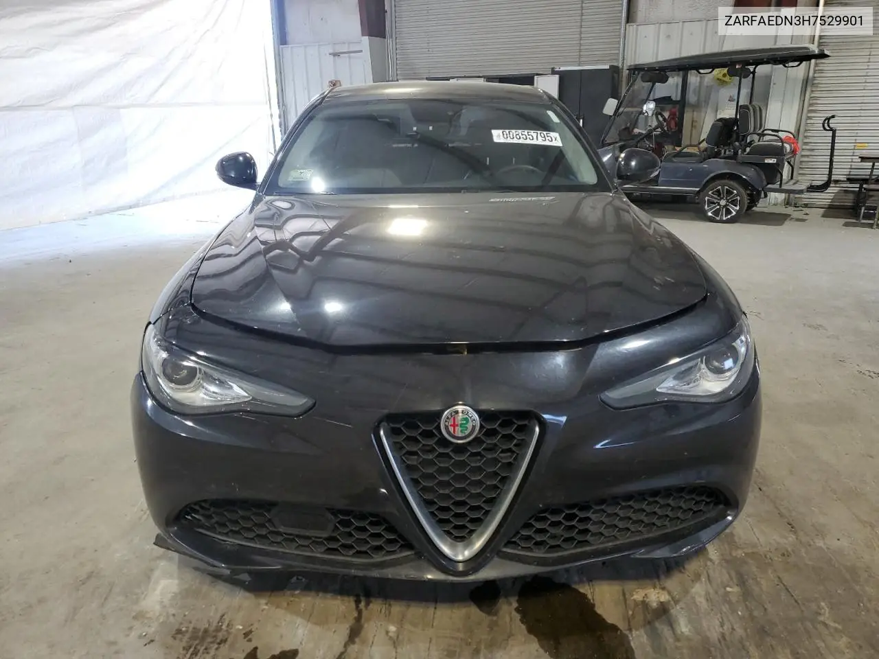 2017 Alfa Romeo Giulia Q4 VIN: ZARFAEDN3H7529901 Lot: 60855795