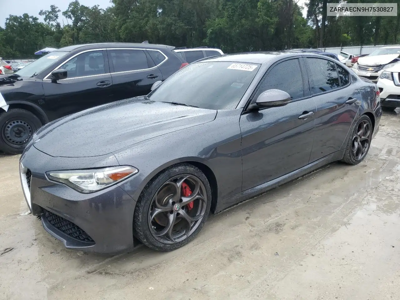2017 Alfa Romeo Giulia Ti VIN: ZARFAECN9H7530827 Lot: 65714725