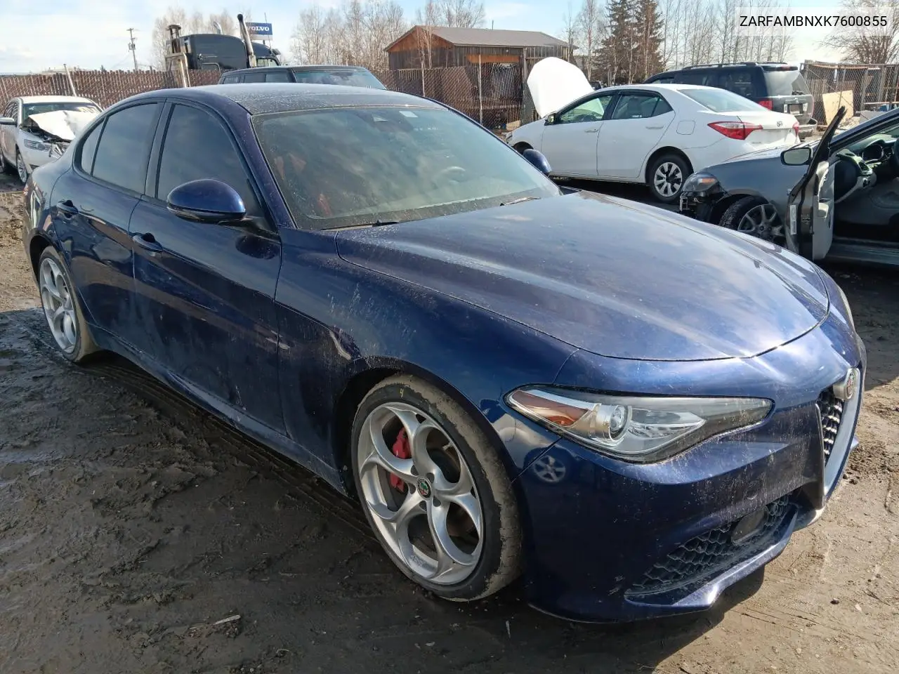 2019 Alfa Romeo Giulia Ti VIN: ZARFAMBNXK7600855 Lot: 52866705