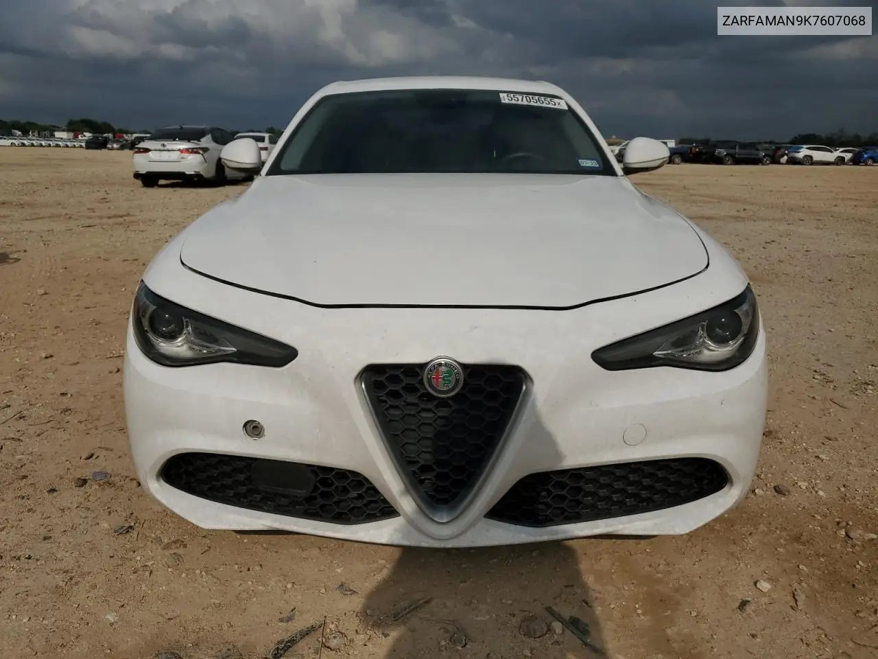 2019 Alfa Romeo Giulia VIN: ZARFAMAN9K7607068 Lot: 55705655