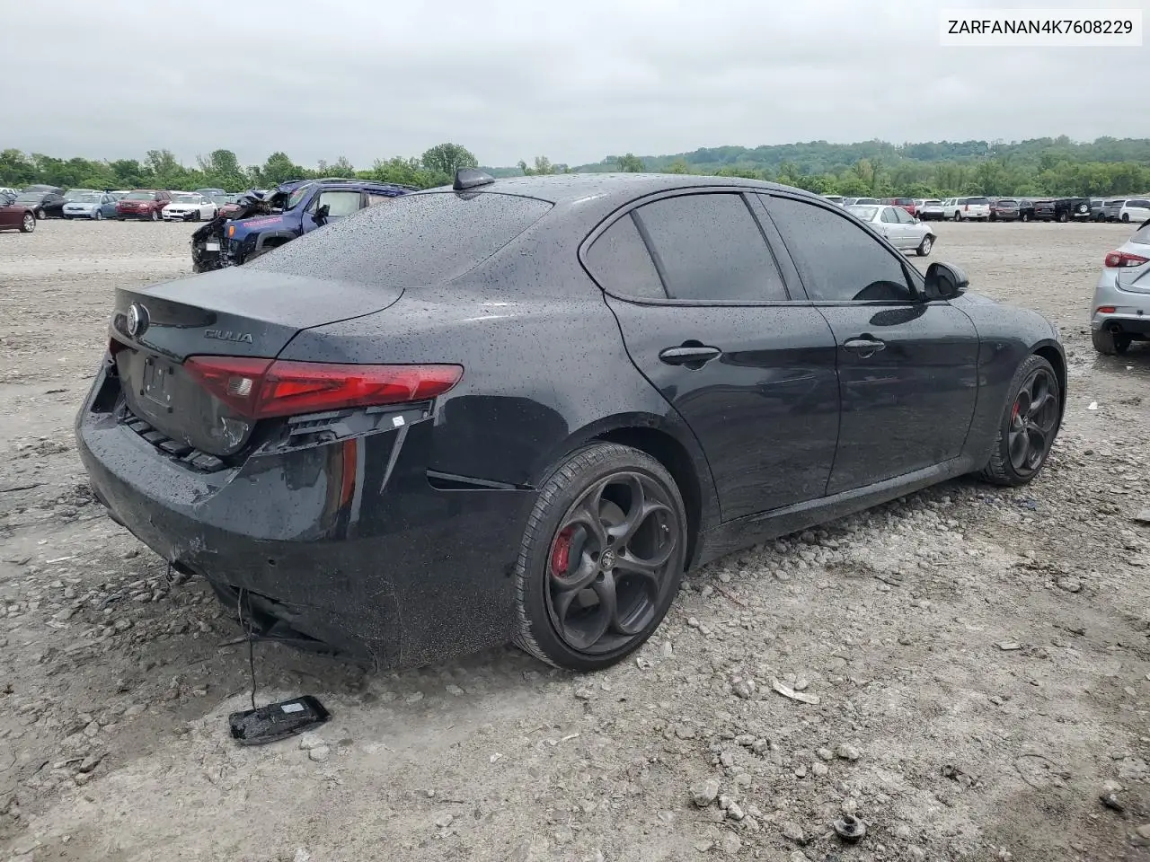 2019 Alfa Romeo Giulia VIN: ZARFANAN4K7608229 Lot: 56253945