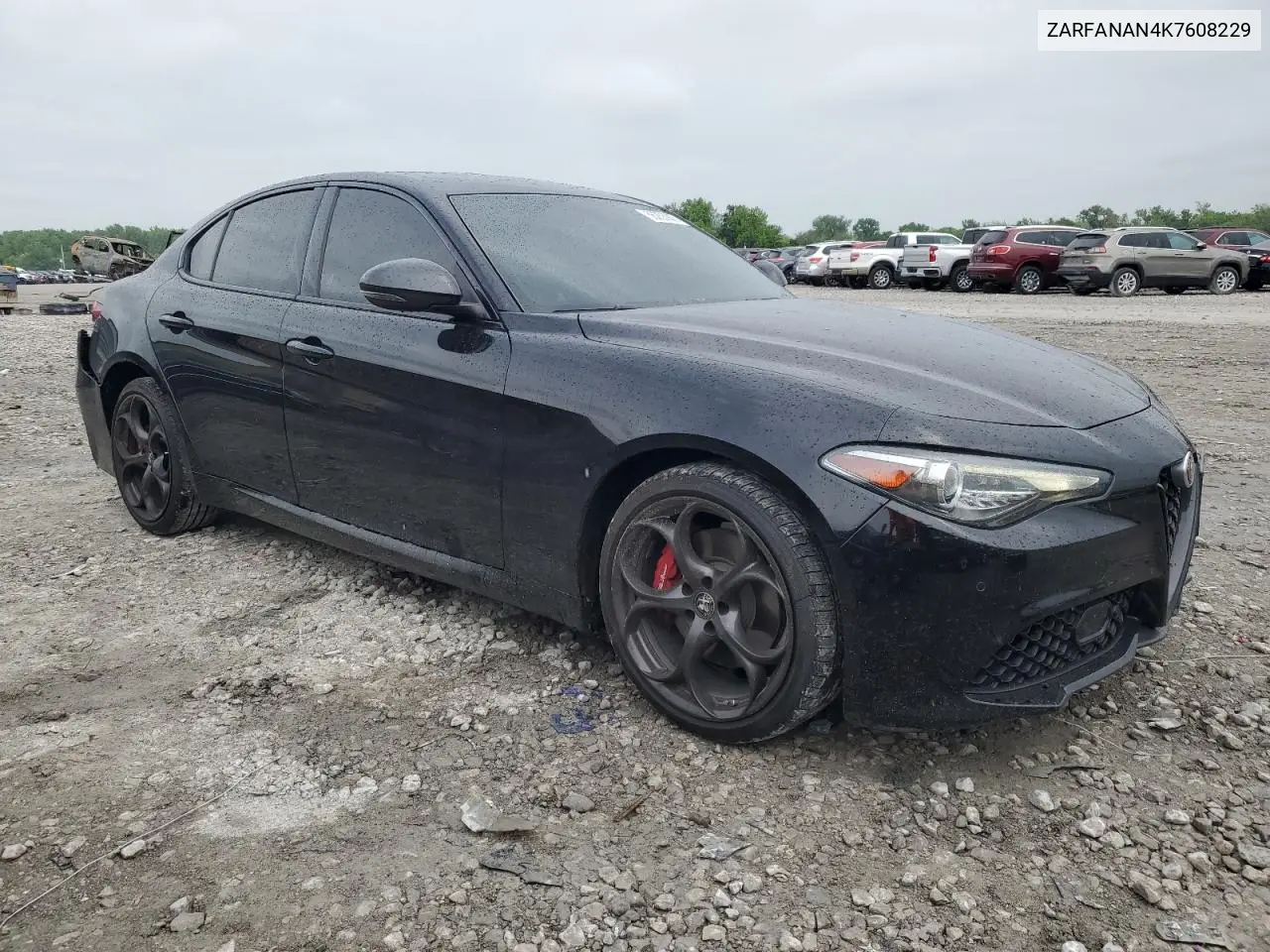 2019 Alfa Romeo Giulia VIN: ZARFANAN4K7608229 Lot: 56253945