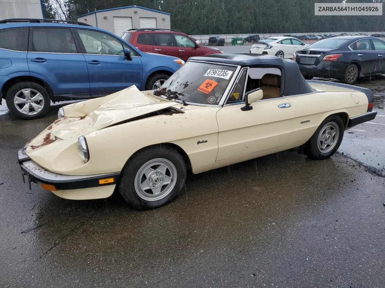 1987 Alfa Romeo Spider Graduate VIN: ZARBA5641H1045926 Lot: 87961235