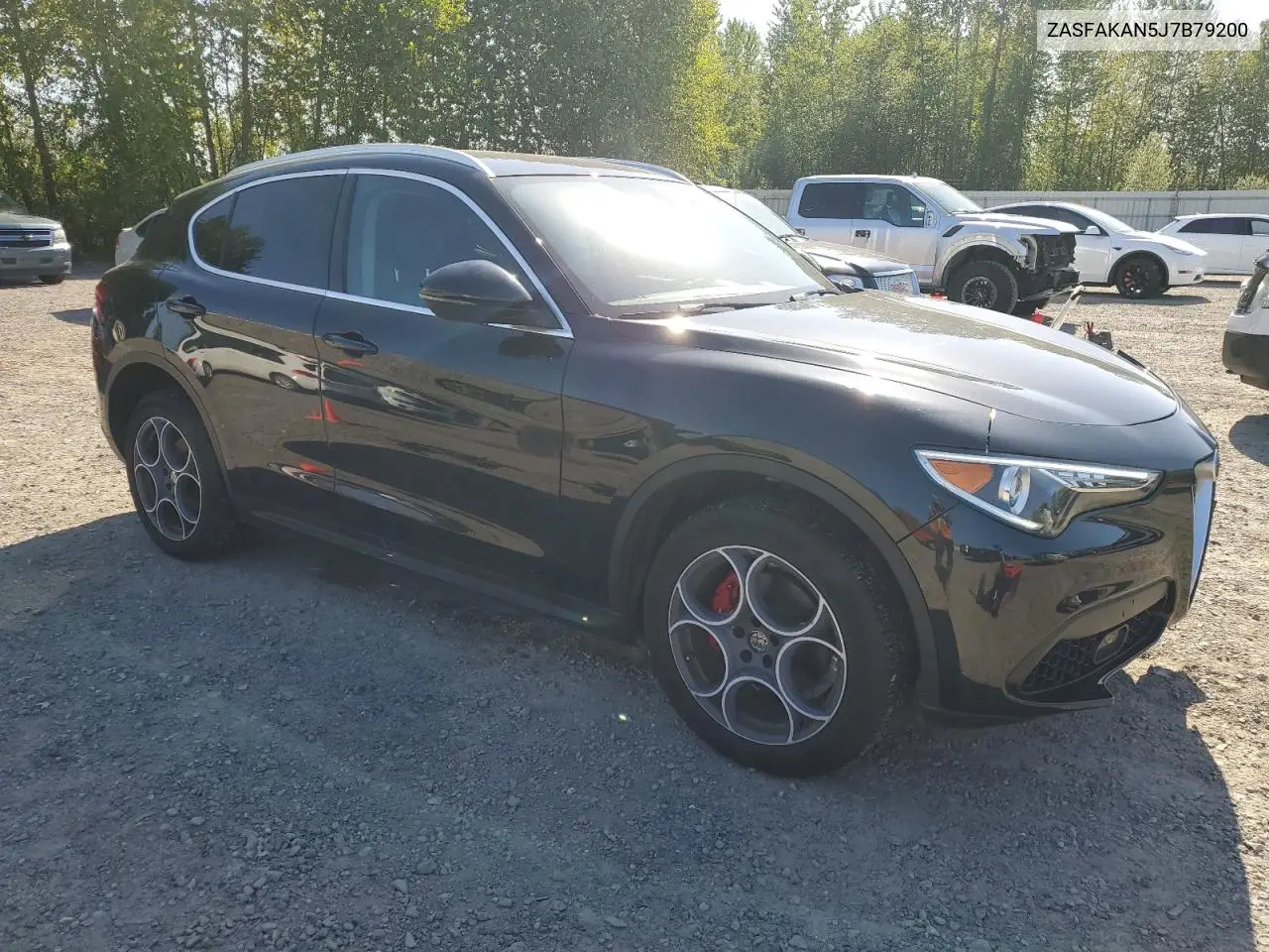 2018 Alfa Romeo Stelvio VIN: ZASFAKAN5J7B79200 Lot: 55461425