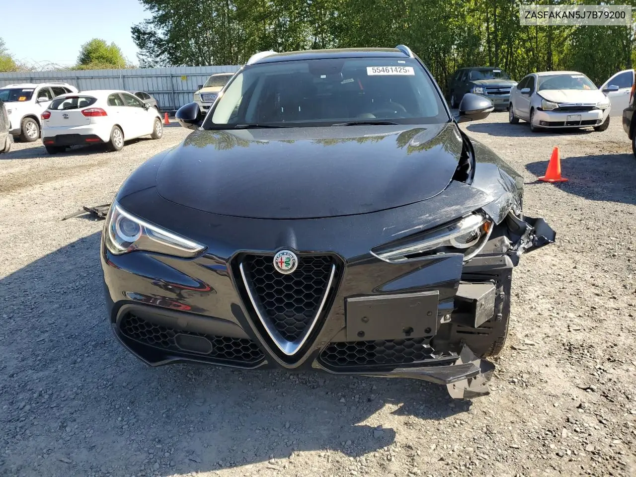 2018 Alfa Romeo Stelvio VIN: ZASFAKAN5J7B79200 Lot: 55461425