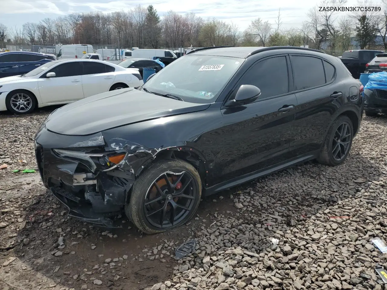 2019 Alfa Romeo Stelvio Ti VIN: ZASPAKBN3K7C55789 Lot: 51557835
