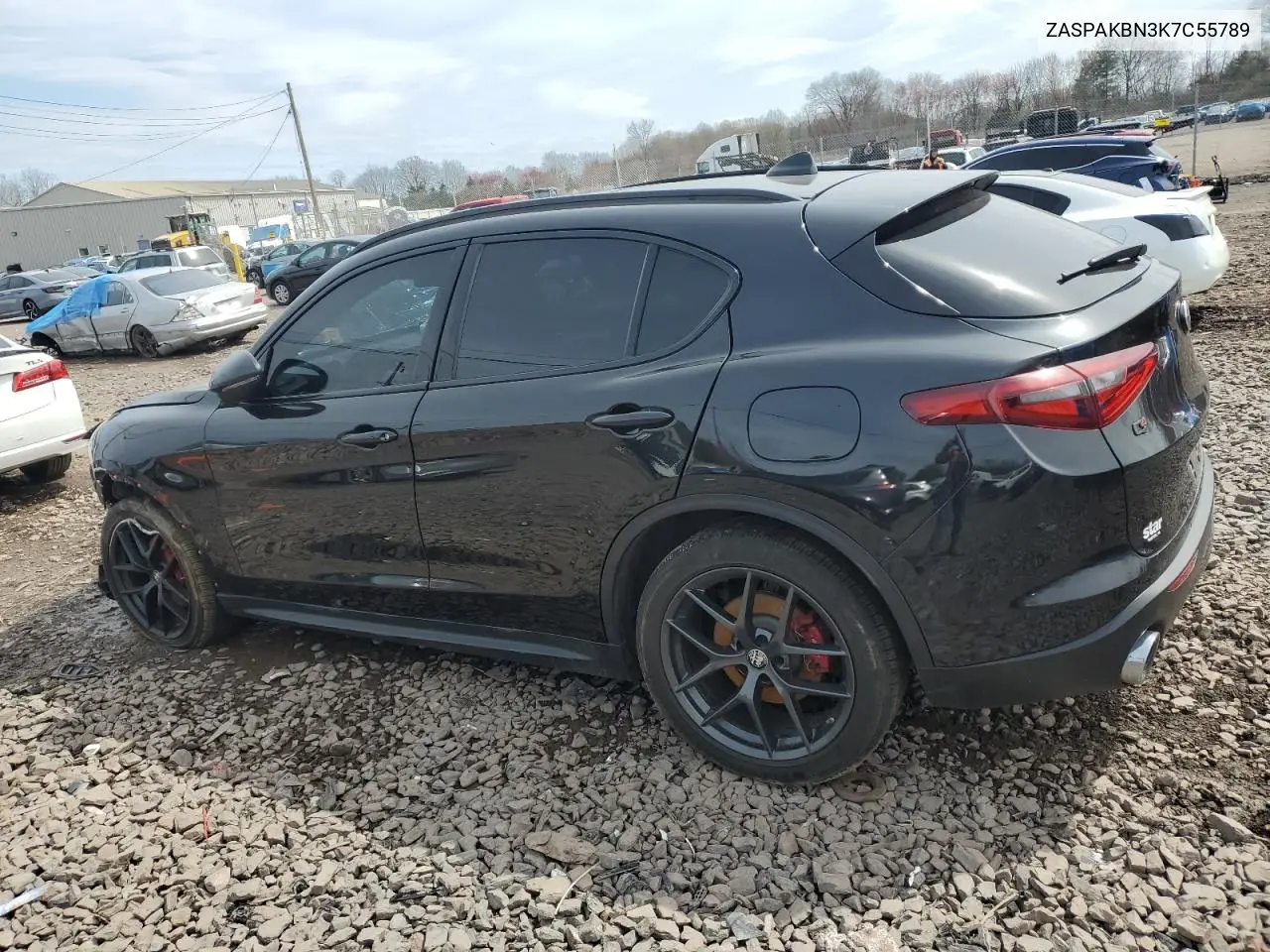 2019 Alfa Romeo Stelvio Ti VIN: ZASPAKBN3K7C55789 Lot: 51557835