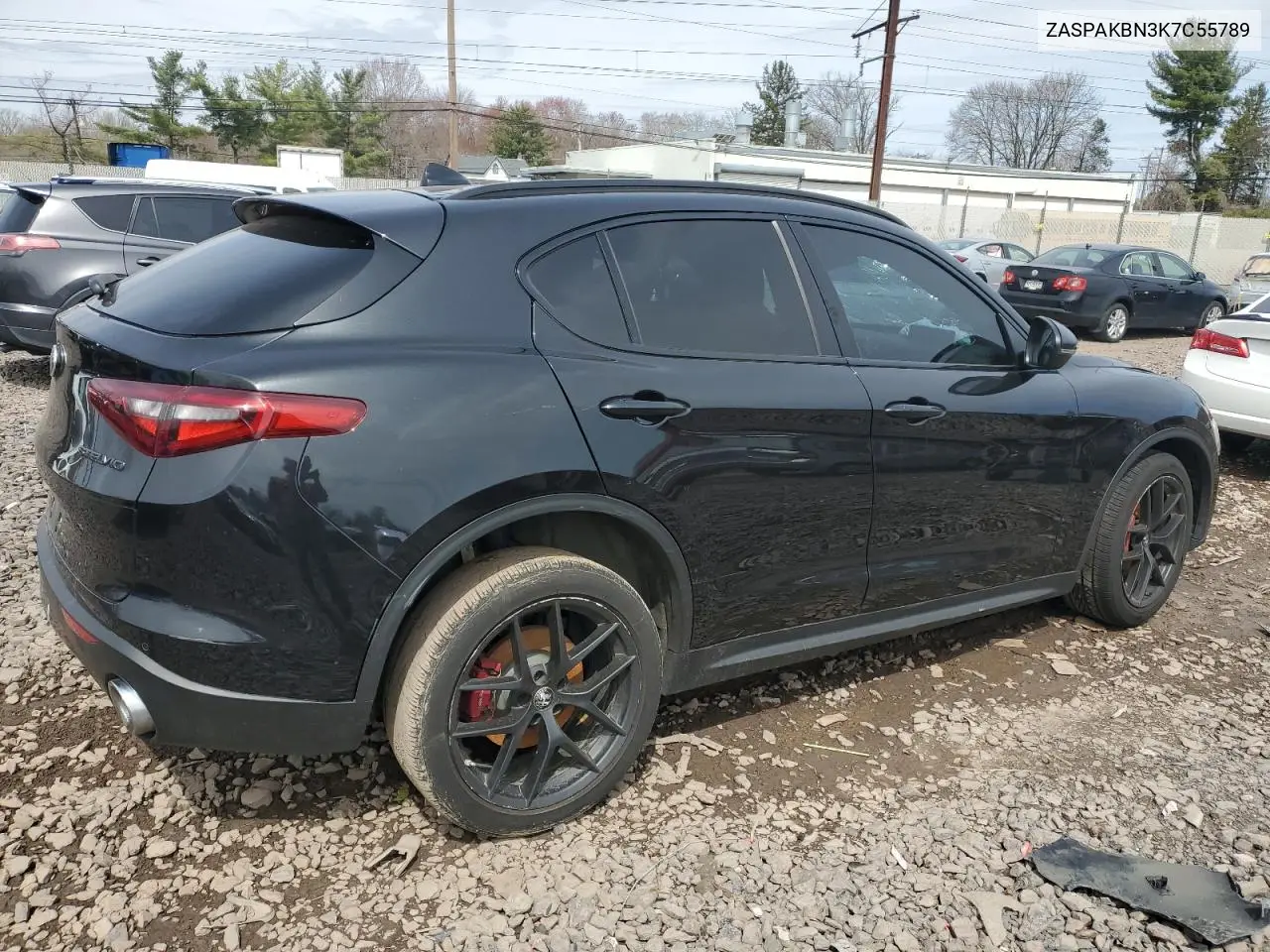 2019 Alfa Romeo Stelvio Ti VIN: ZASPAKBN3K7C55789 Lot: 51557835