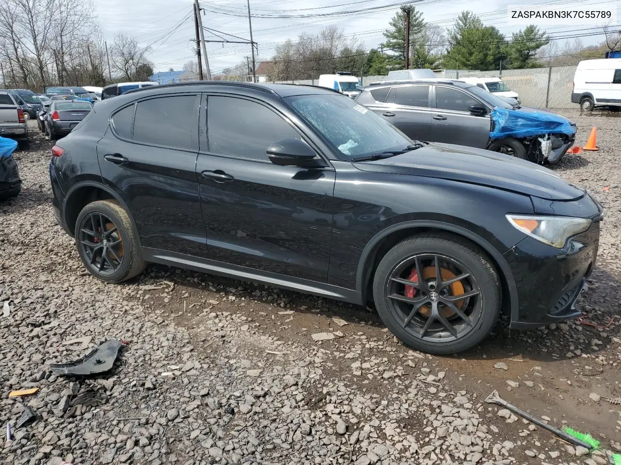 2019 Alfa Romeo Stelvio Ti VIN: ZASPAKBN3K7C55789 Lot: 51557835
