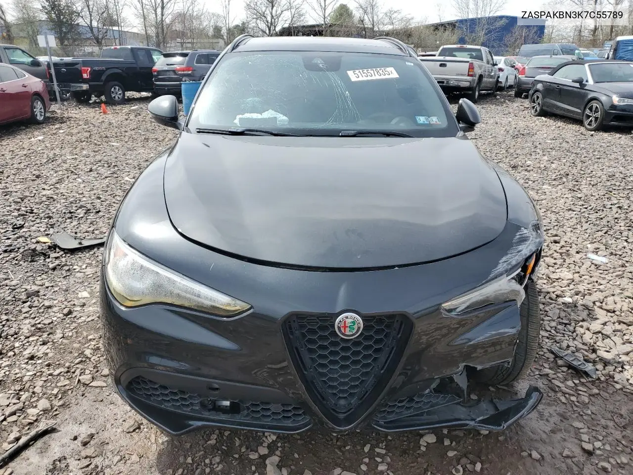 2019 Alfa Romeo Stelvio Ti VIN: ZASPAKBN3K7C55789 Lot: 51557835