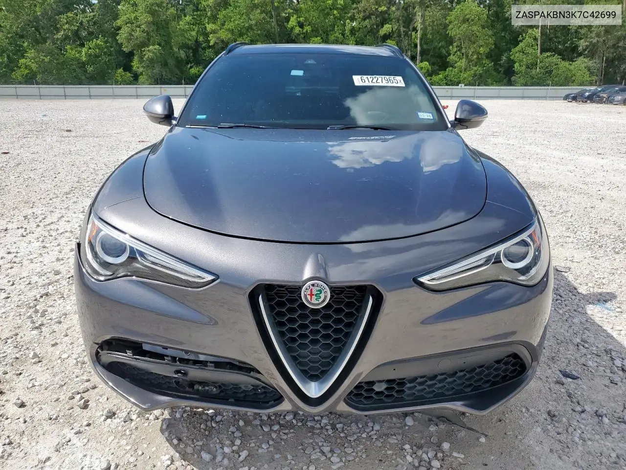 2019 Alfa Romeo Stelvio Ti VIN: ZASPAKBN3K7C42699 Lot: 61227965