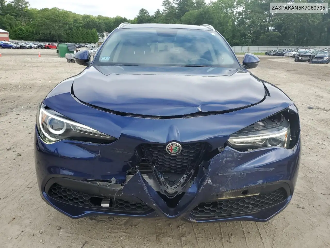 2019 Alfa Romeo Stelvio VIN: ZASPAKAN5K7C60705 Lot: 61807655