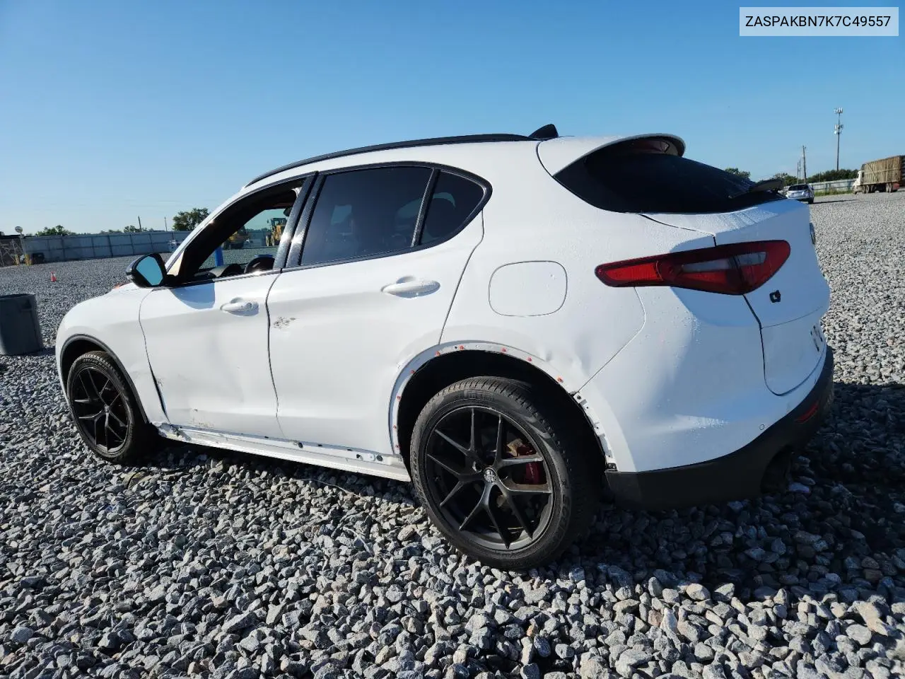 2019 Alfa Romeo Stelvio Ti VIN: ZASPAKBN7K7C49557 Lot: 62166495