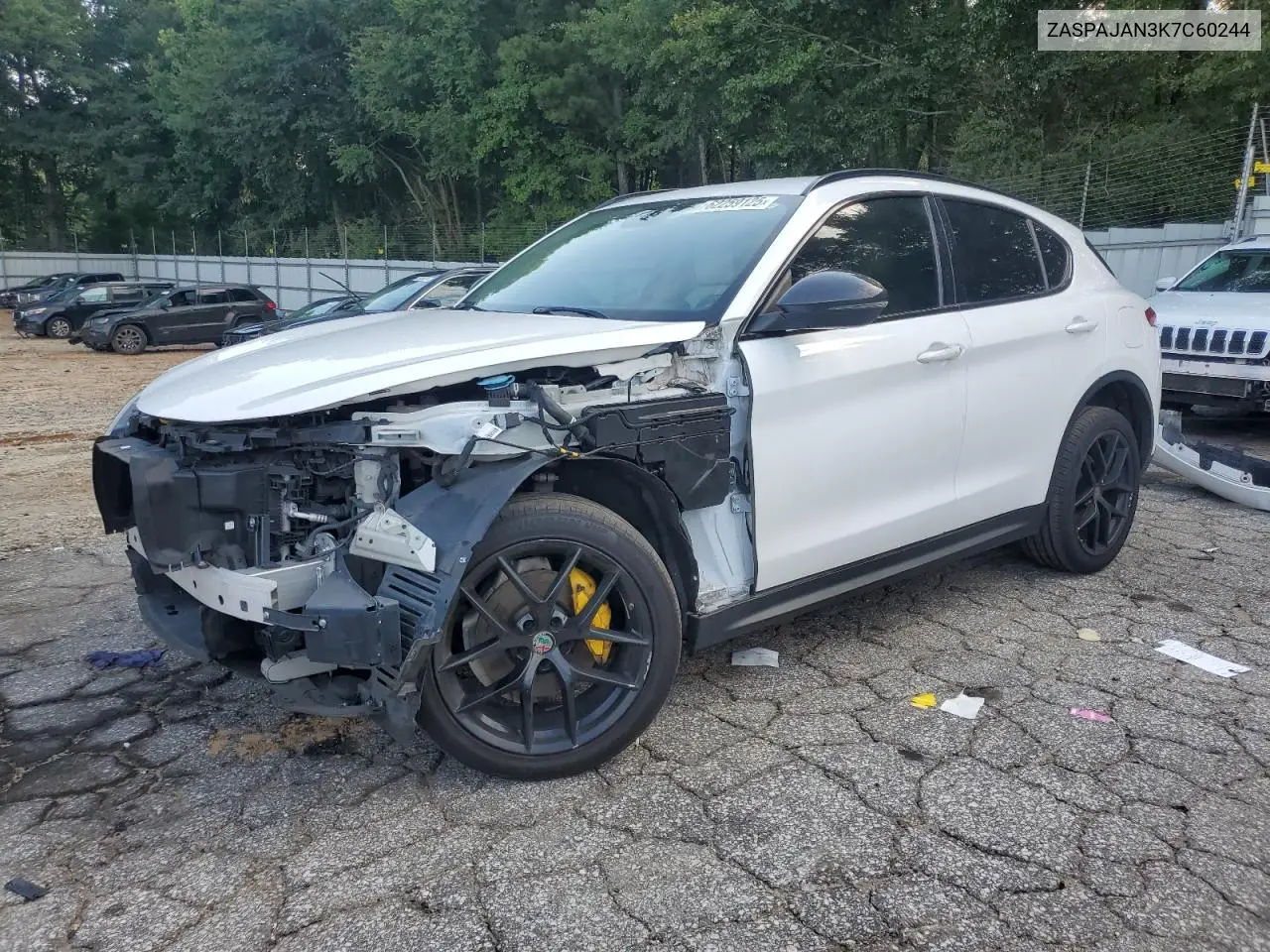 2019 Alfa Romeo Stelvio VIN: ZASPAJAN3K7C60244 Lot: 62259125