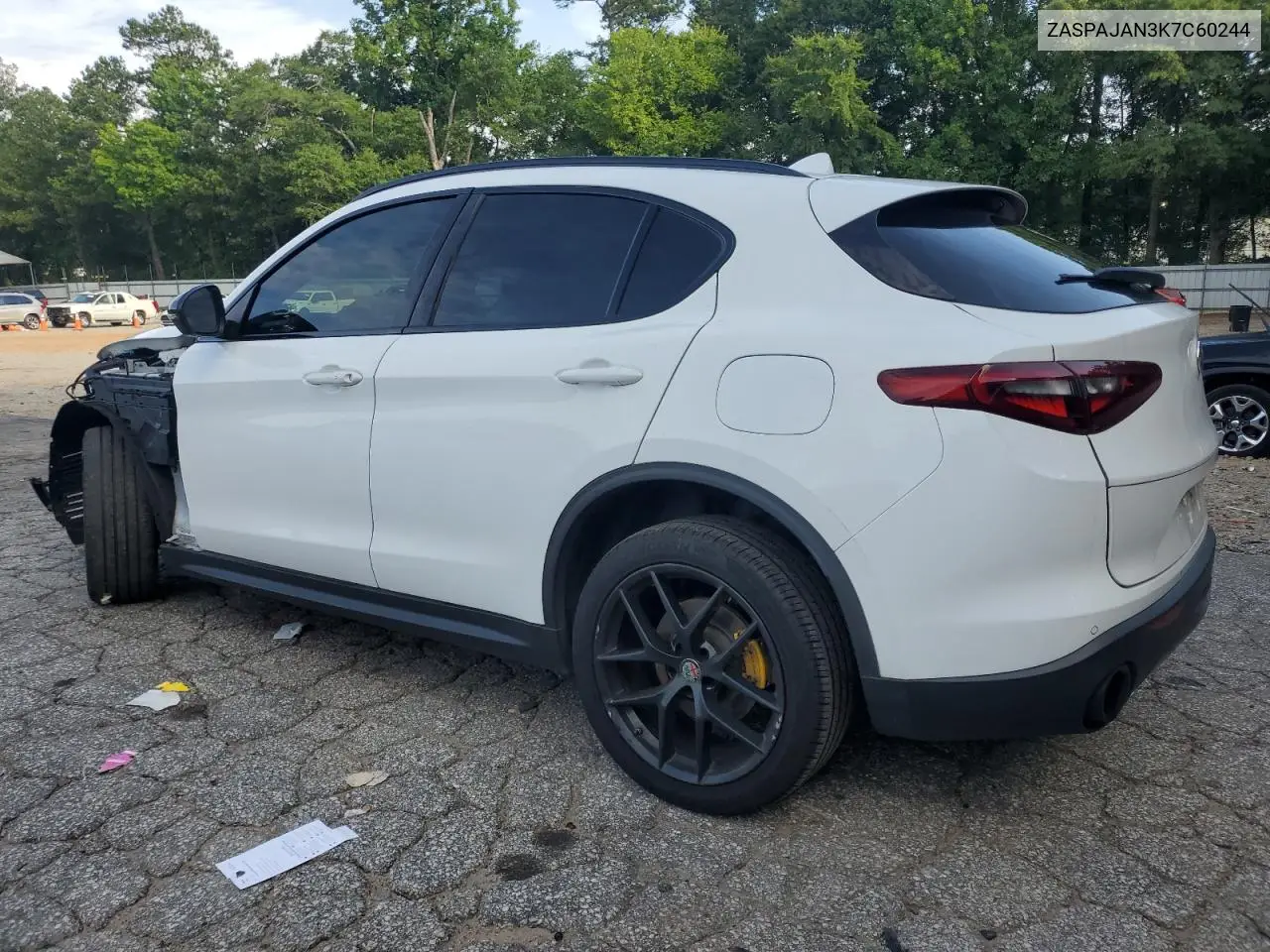 2019 Alfa Romeo Stelvio VIN: ZASPAJAN3K7C60244 Lot: 62259125