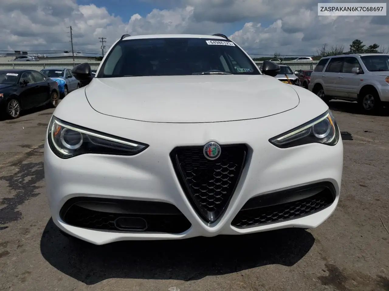 2019 Alfa Romeo Stelvio VIN: ZASPAKAN6K7C68697 Lot: 64986125