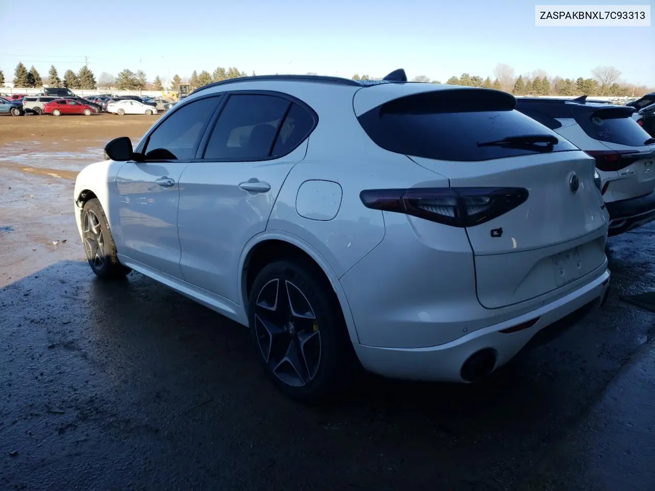 2020 Alfa Romeo Stelvio Ti VIN: ZASPAKBNXL7C93313 Lot: 46082005